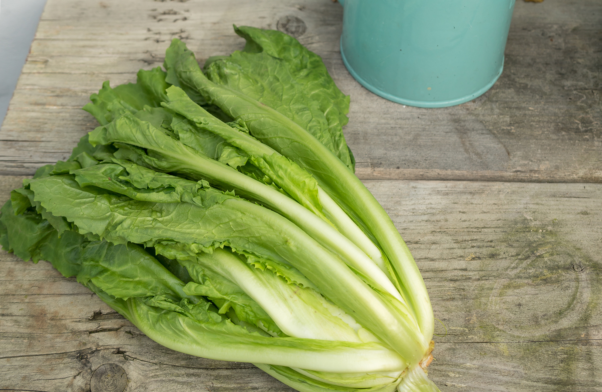 Het Culinair Geheugen